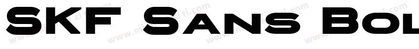 SKF Sans Bold字体转换